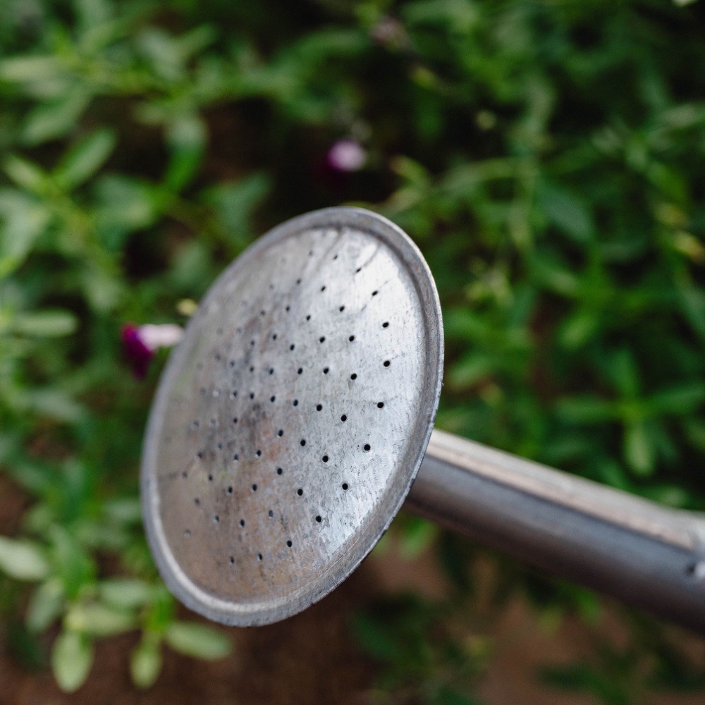 Zinc watering can
