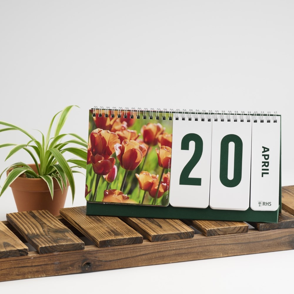 RHS 2026 perpetual desk calendar