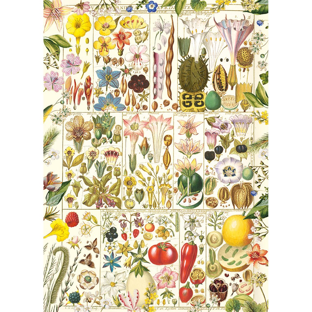 RHS Botanical Bliss jigsaw puzzle