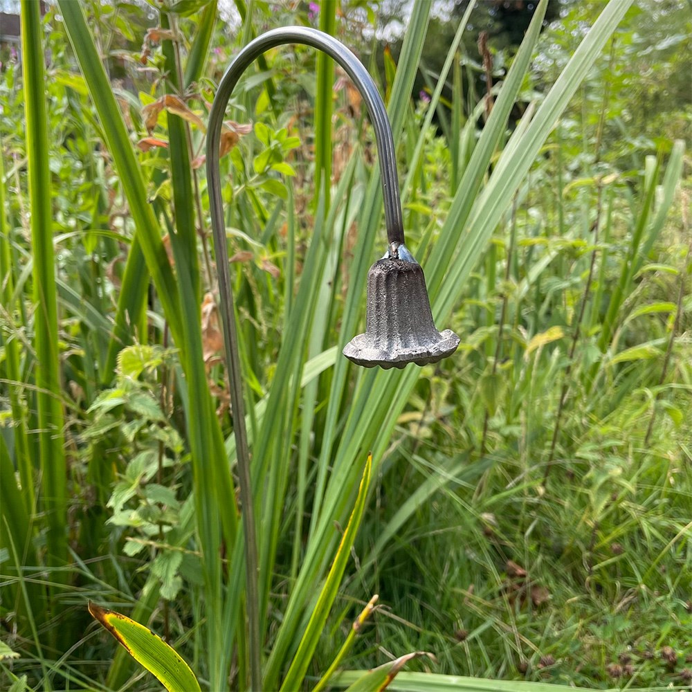 Bluebell stake