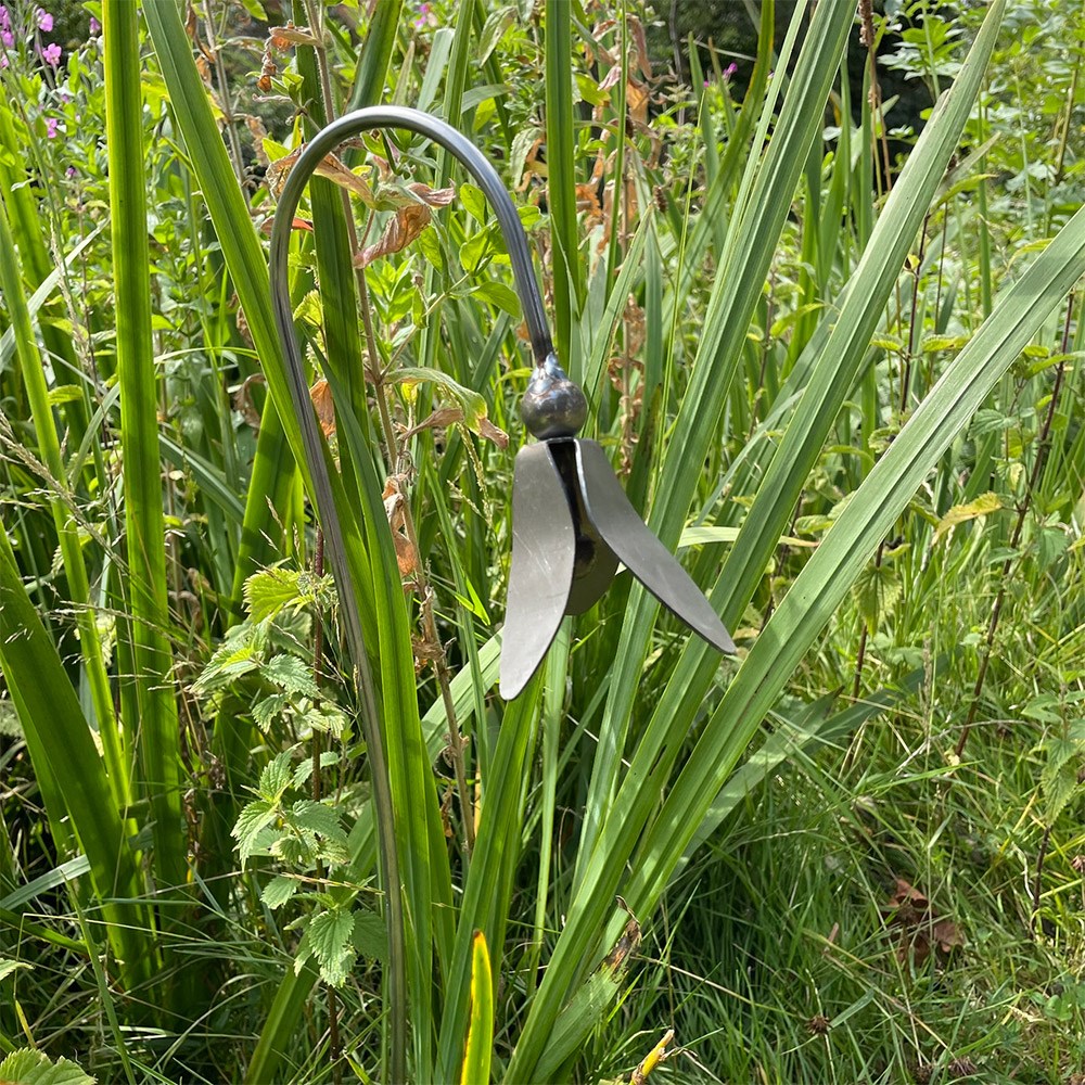 Open snowdrop stake