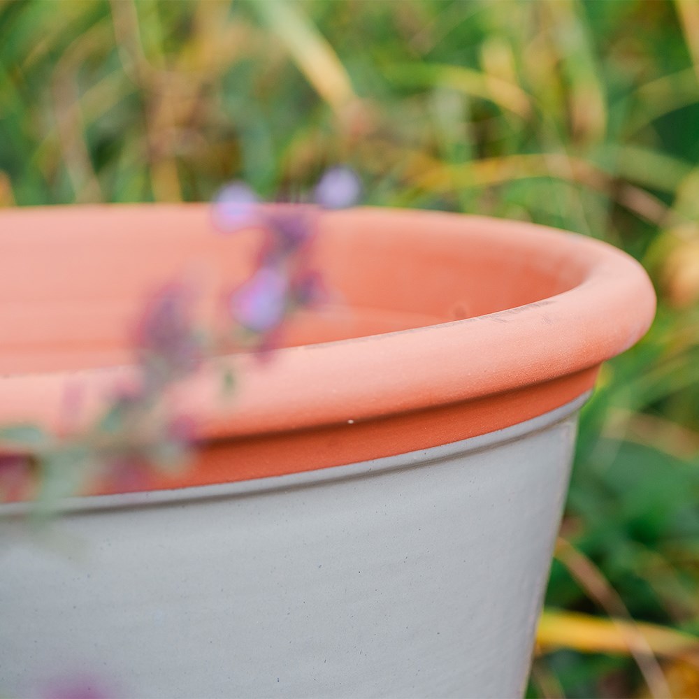 Sage green kitchen planter