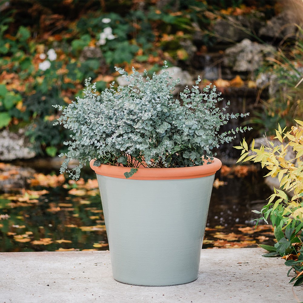 Sage green tree pot