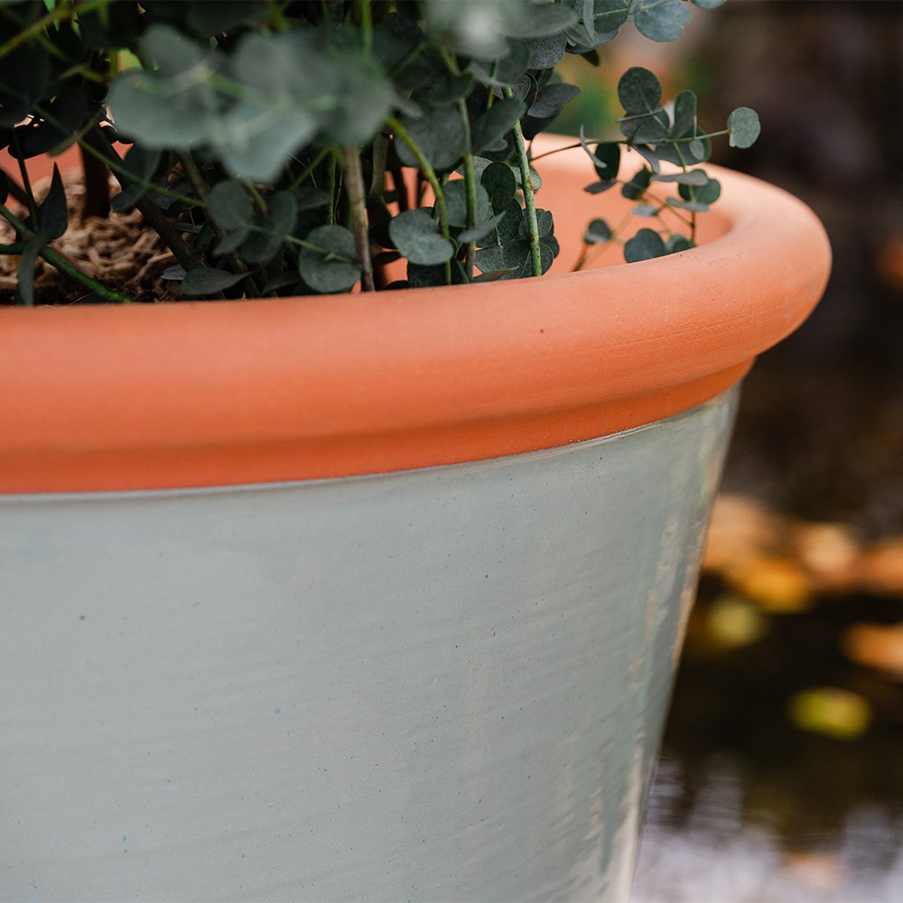 Sage green tree pot