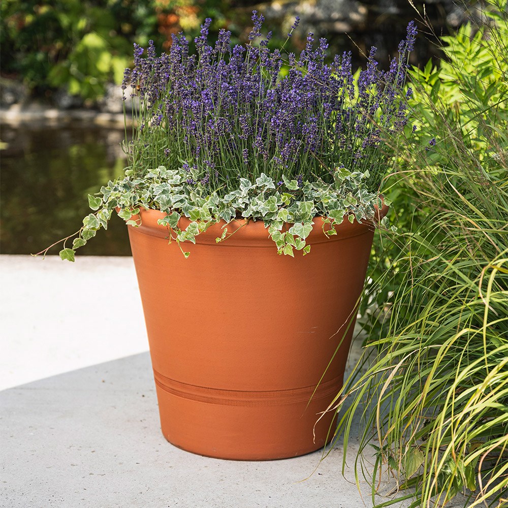 Terracotta tree pot