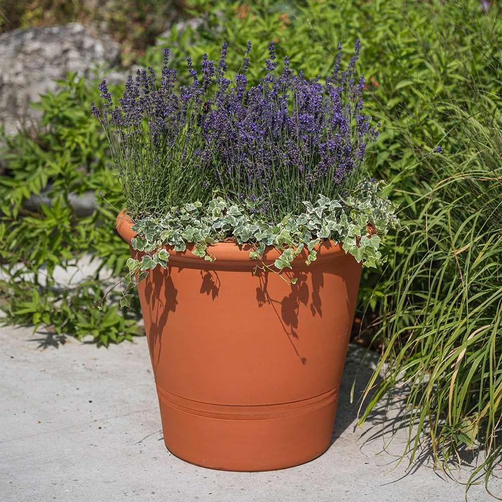 Terracotta tree pot