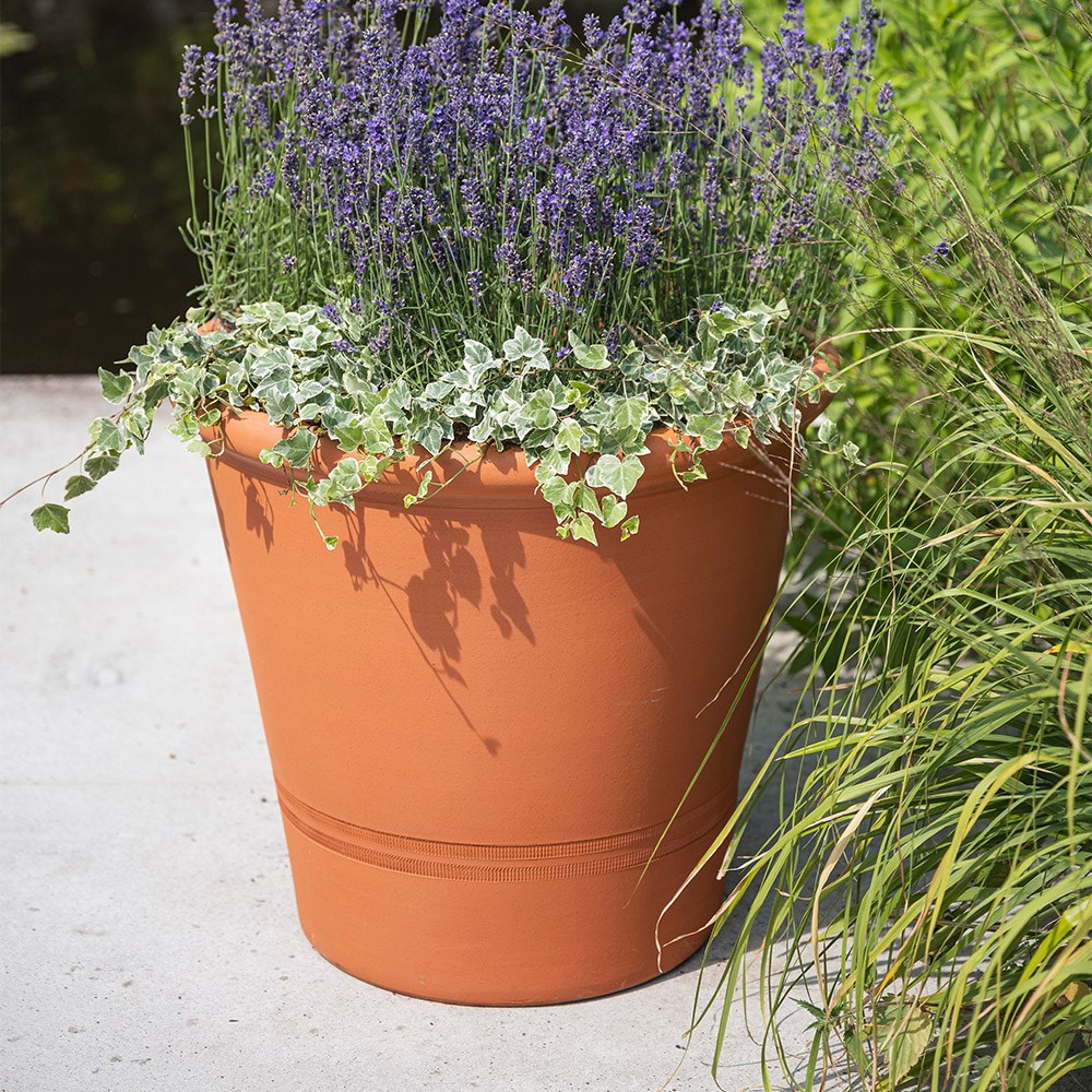 Terracotta tree pot