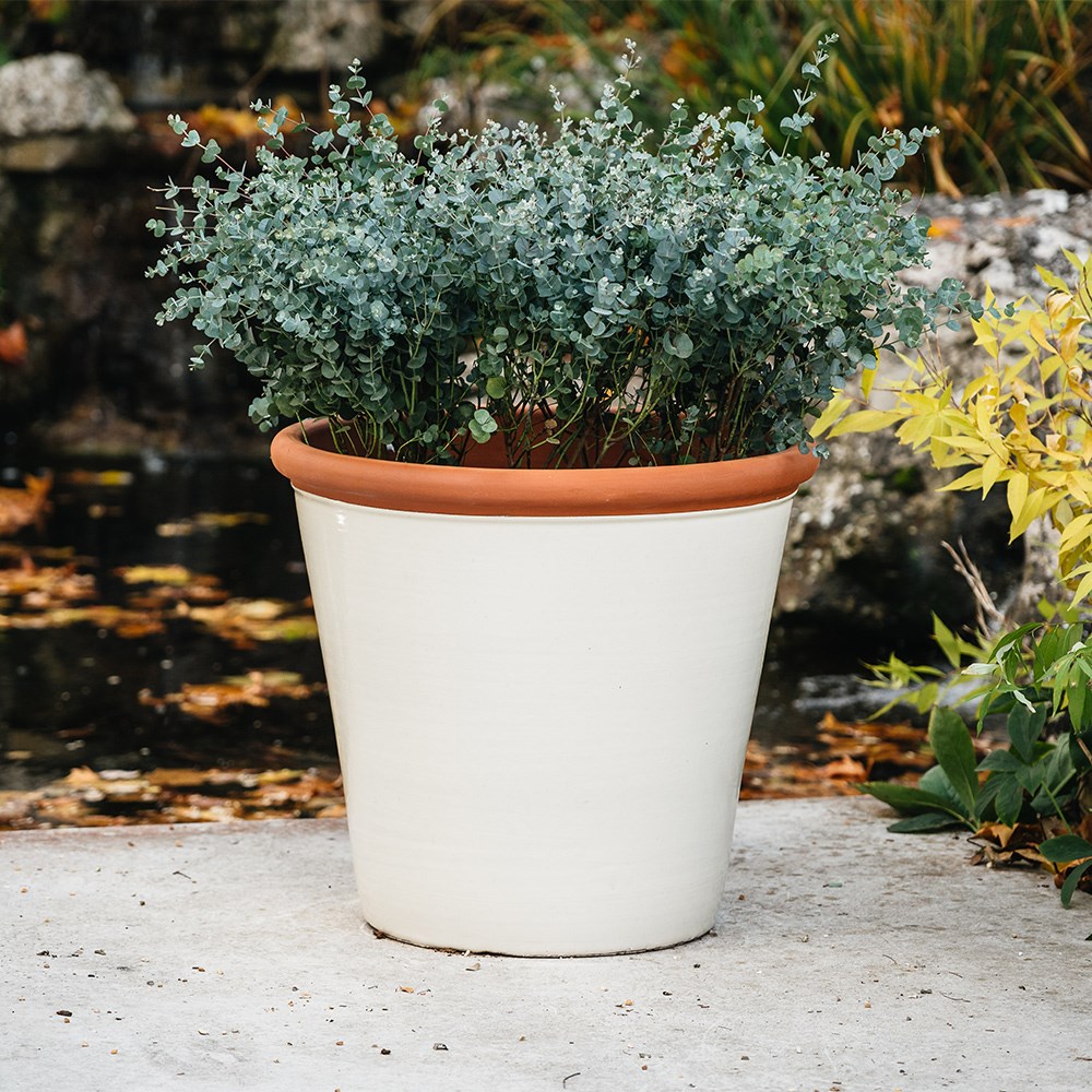 Ivory tree pot