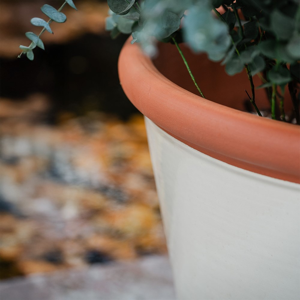 Ivory tree pot