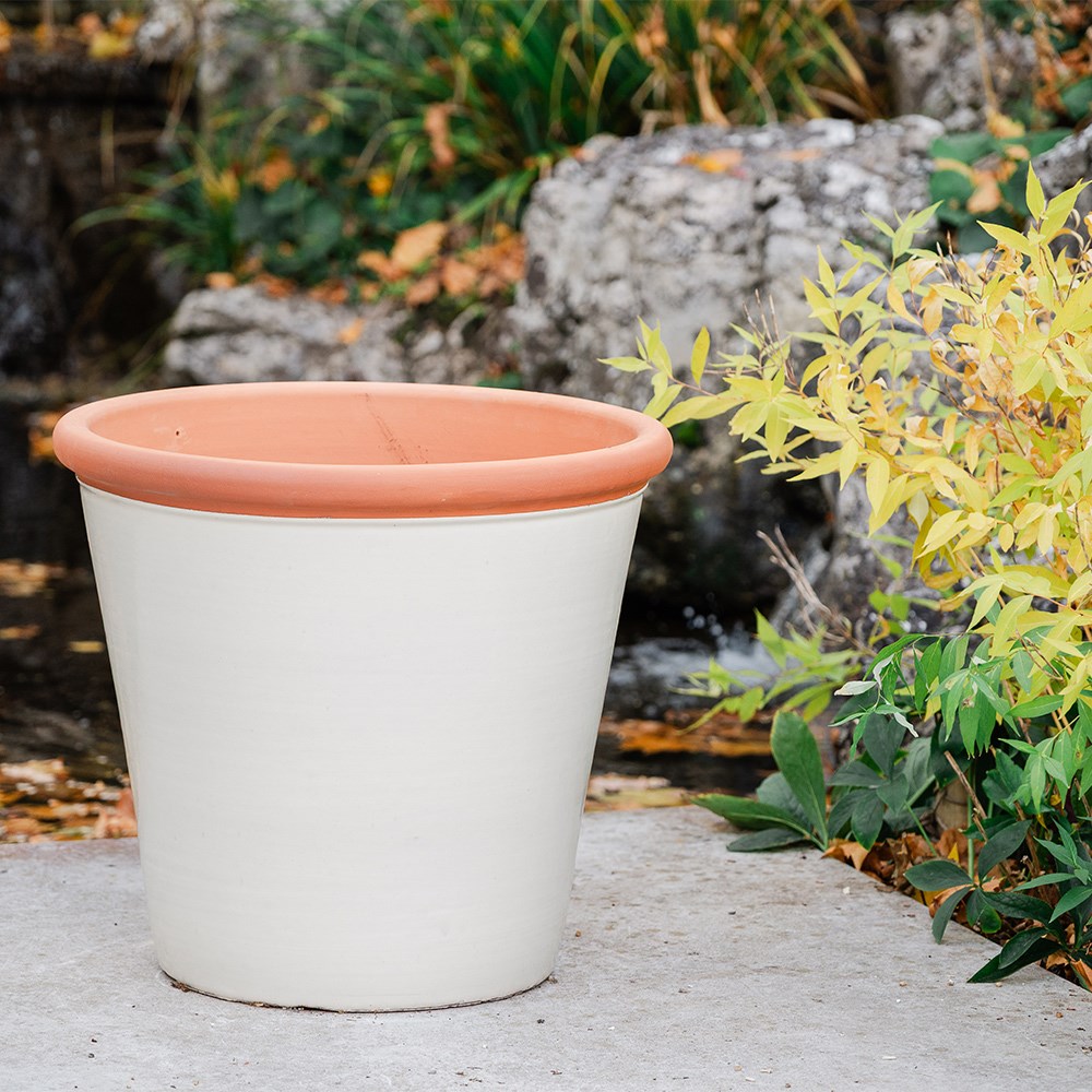 Ivory tree pot