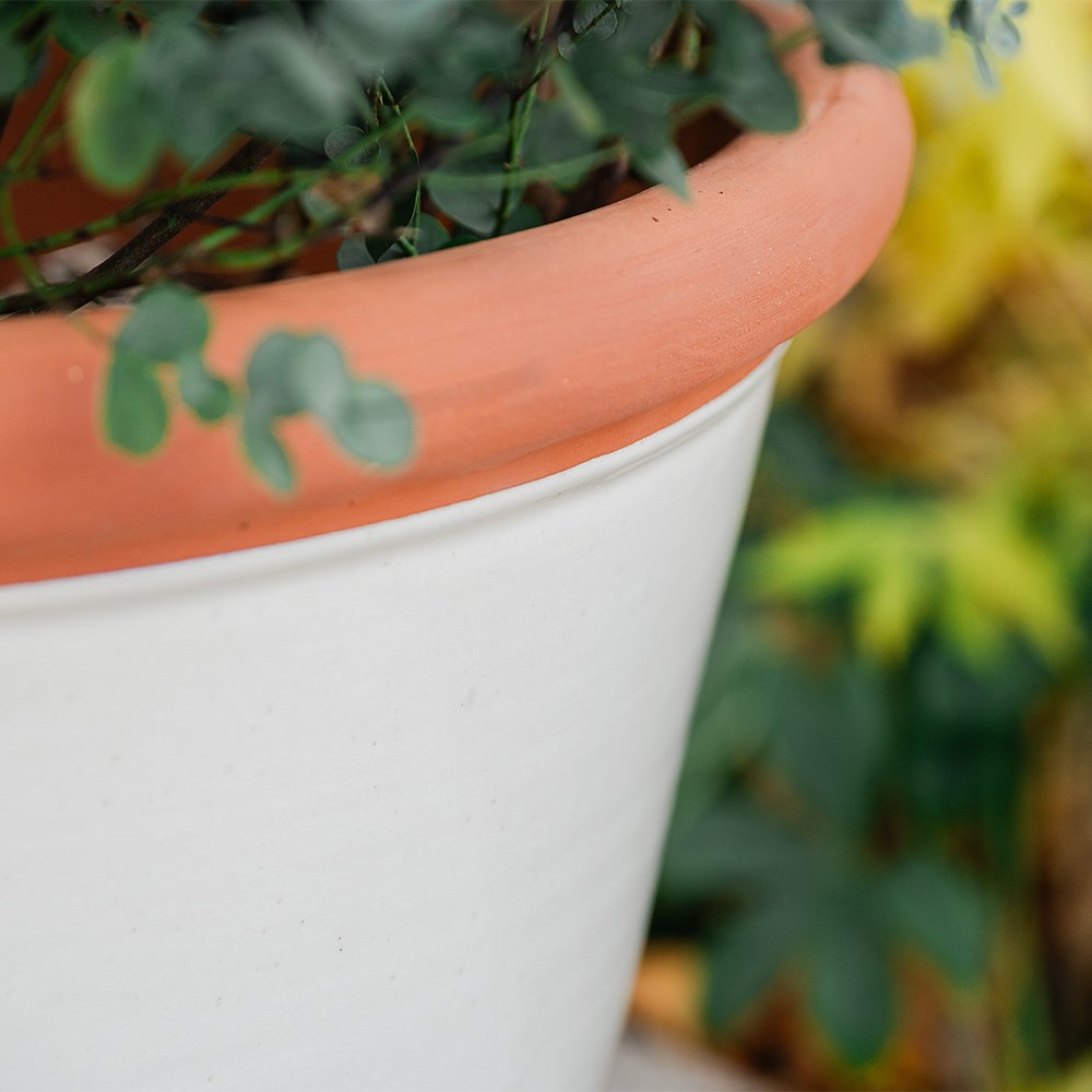 Ivory tree pot