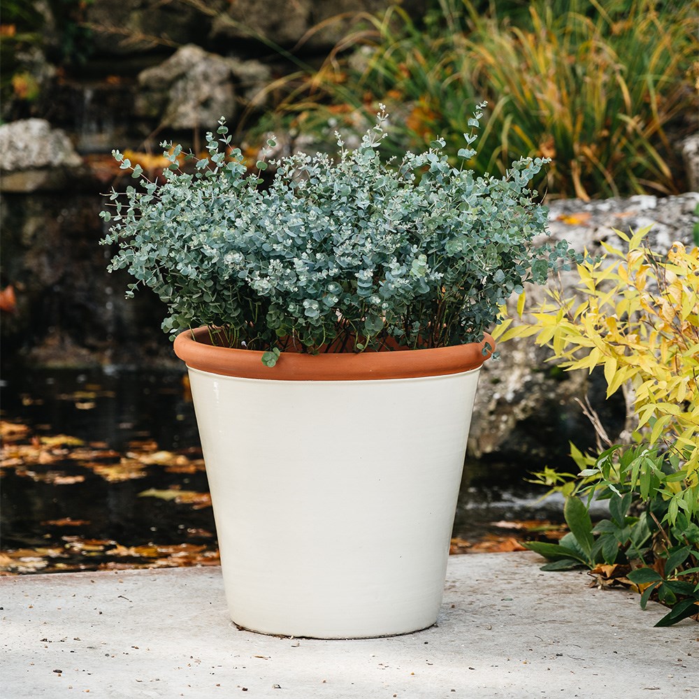Ivory tree pot