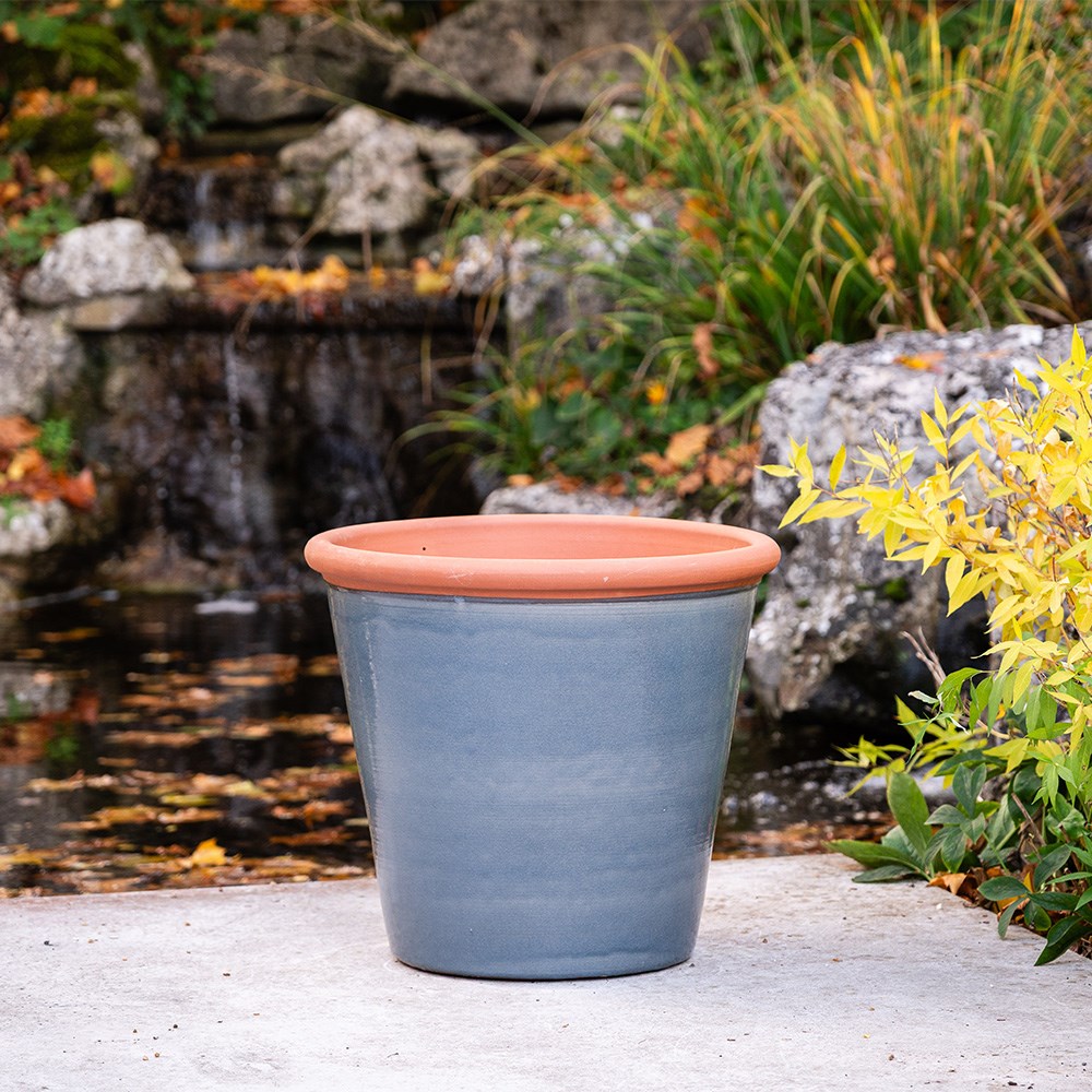Grey tree pot