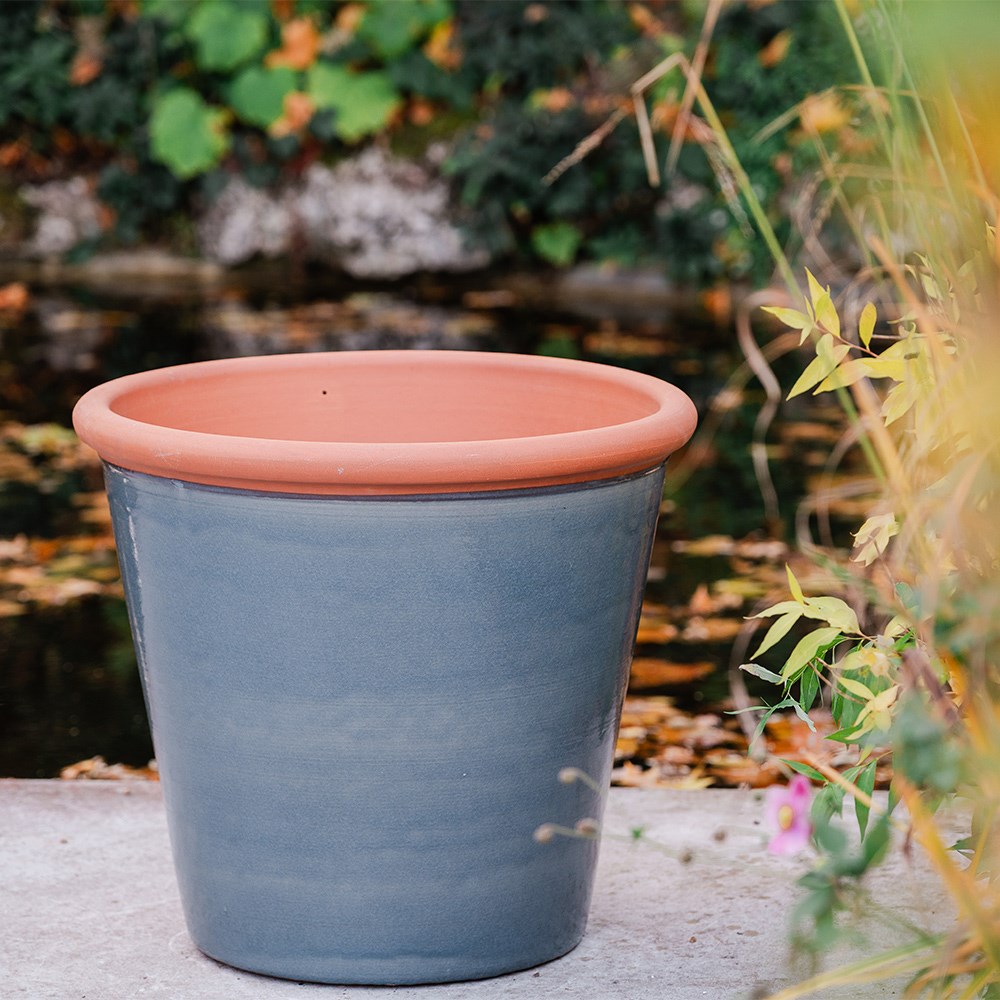 Grey tree pot