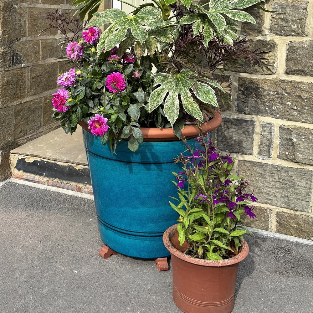 Turquoise tree pot