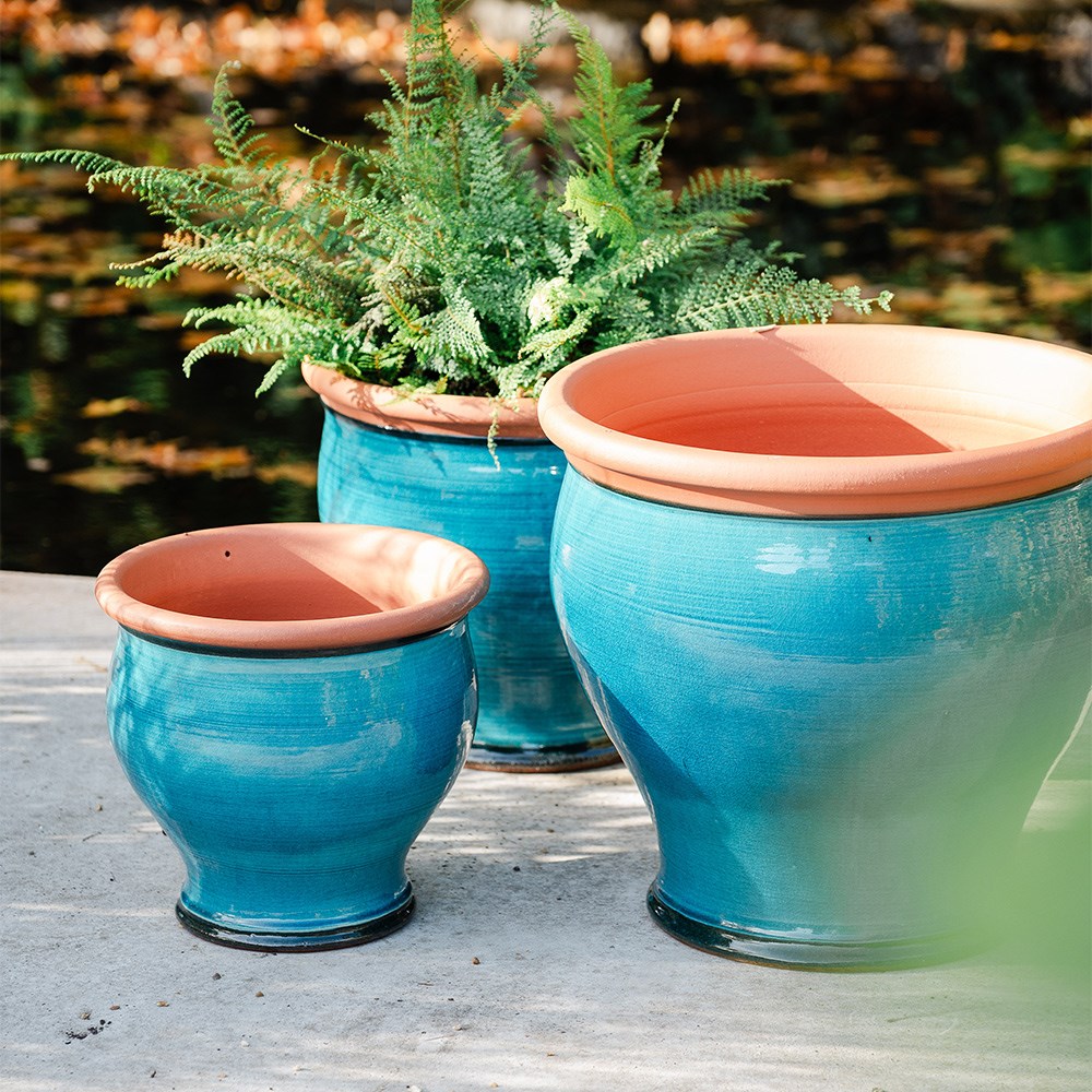 Turquoise bellied planter