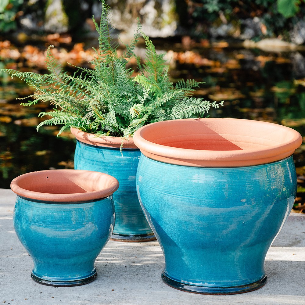 Turquoise bellied planter