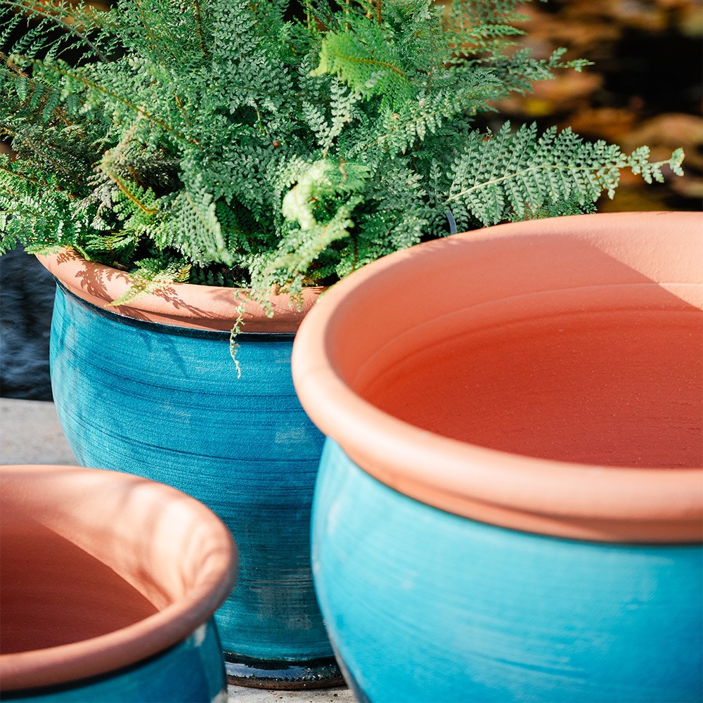 Turquoise bellied planter