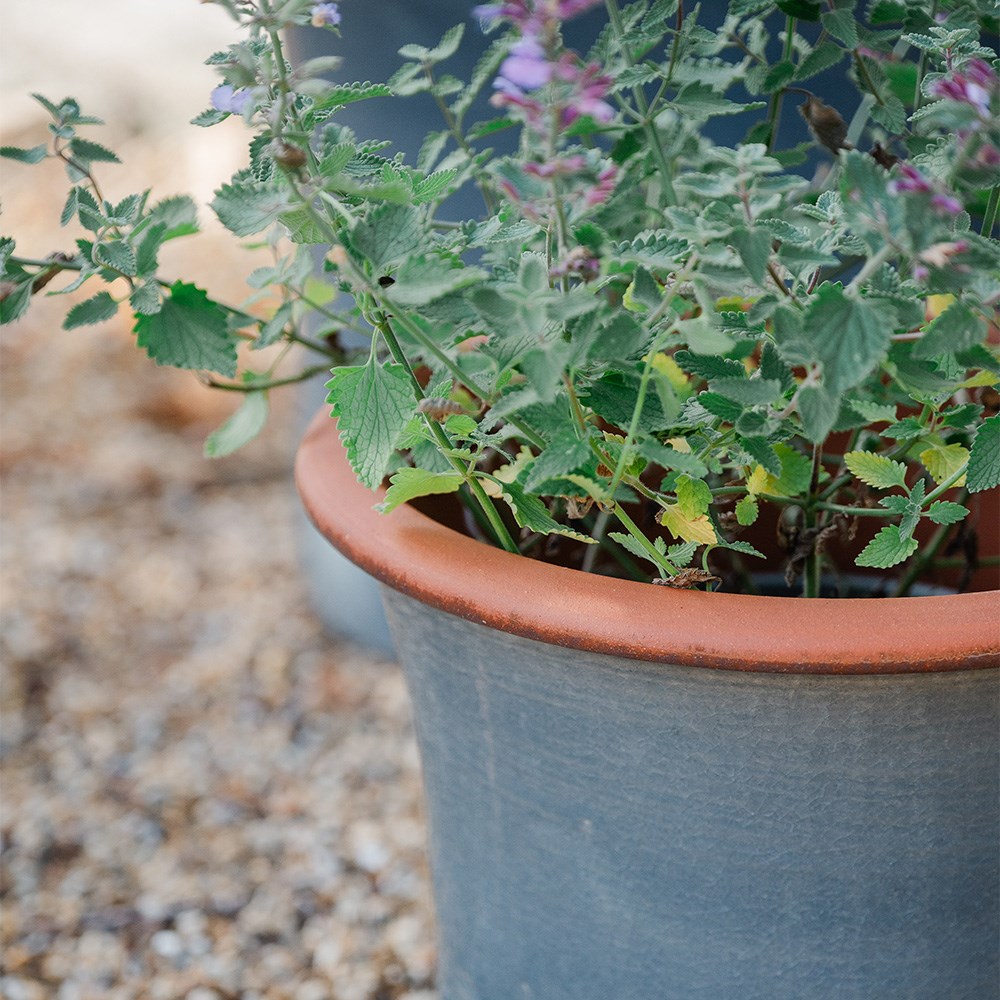 Grey flared planter