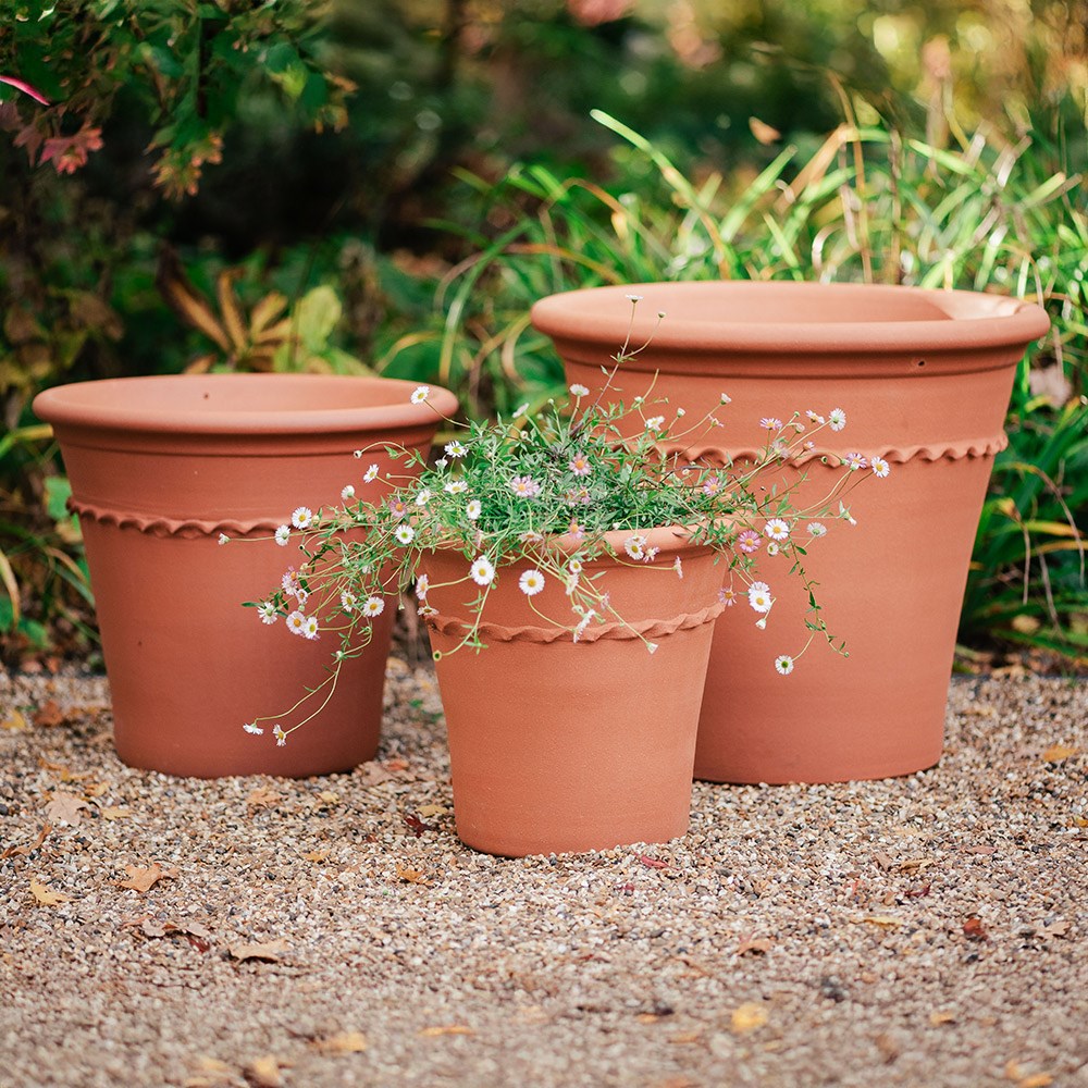 Pie crust terracotta planter