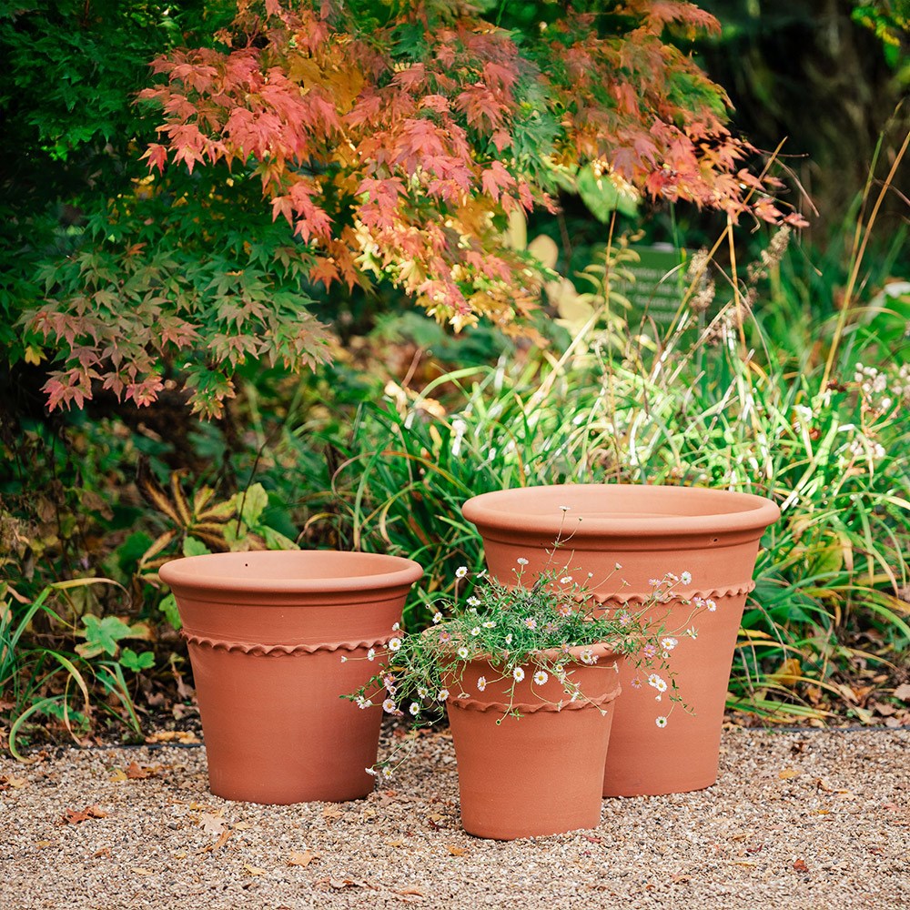 Pie crust terracotta planter