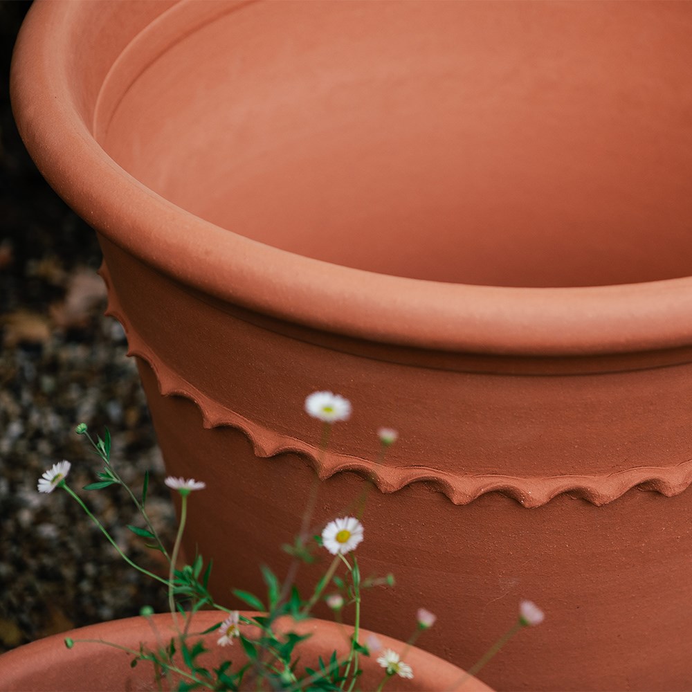 Pie crust terracotta planter