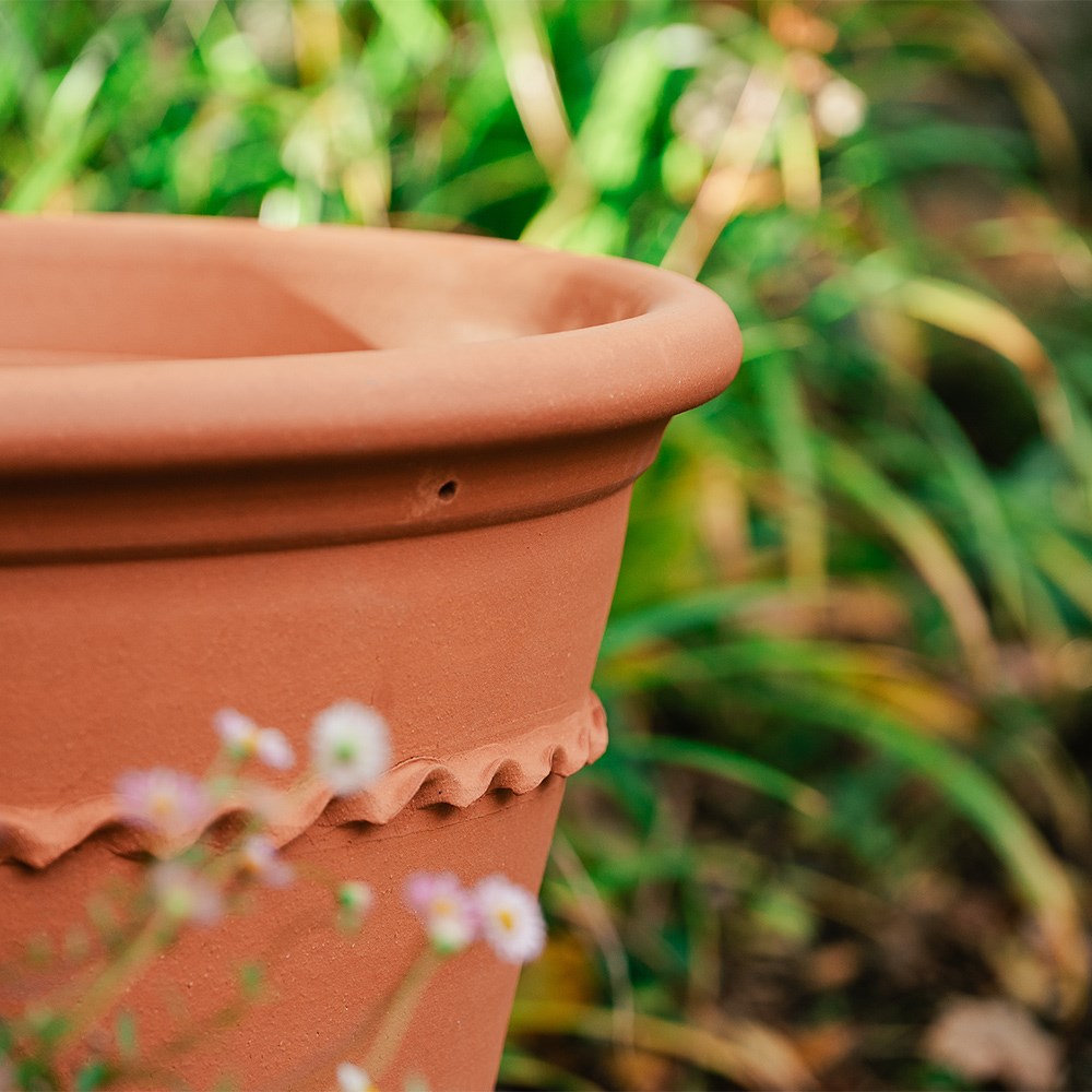 Pie crust terracotta planter