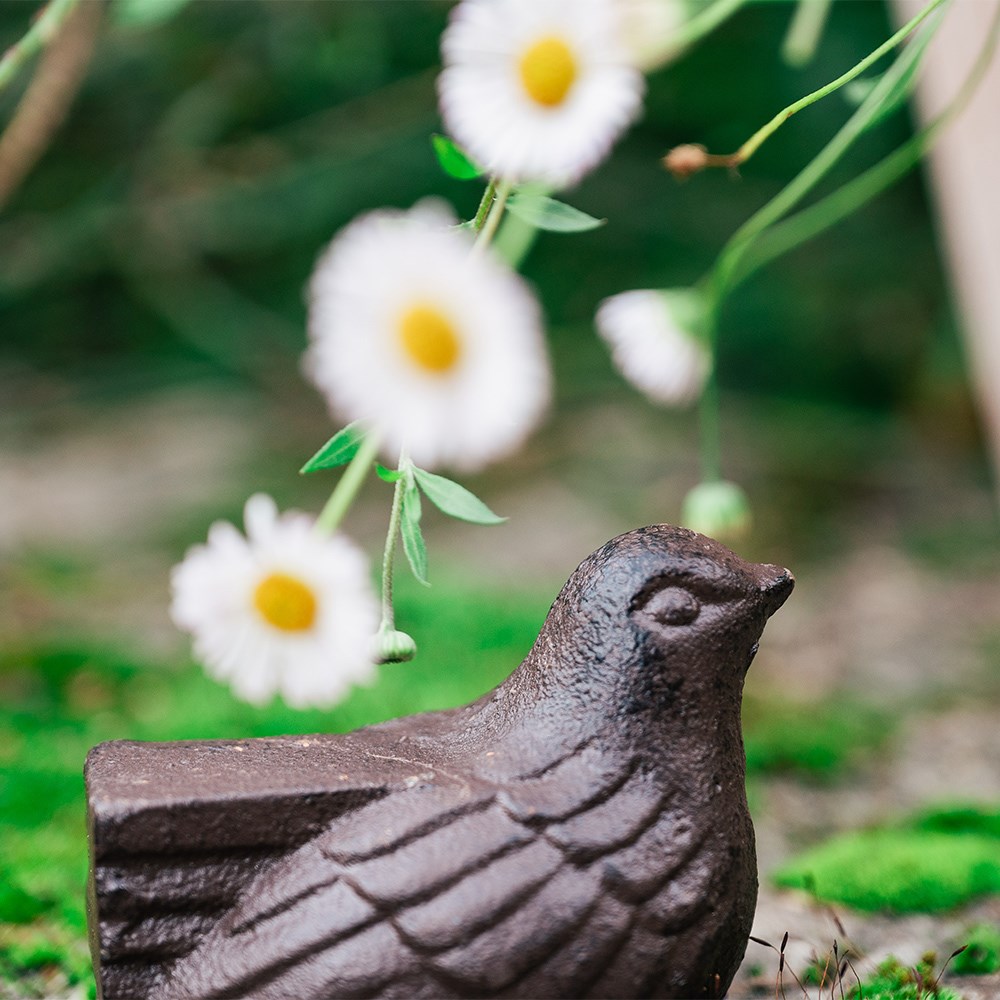 Cast iron bird pot feet