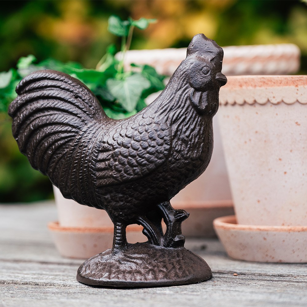 Cast iron chicken