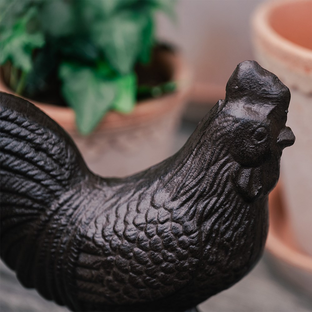 Cast iron chicken