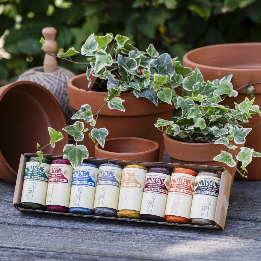 【新品未使用】ワールドレップ　EARTH CARD・スティック Buy Plant labels & ties: Delivery by Crocus