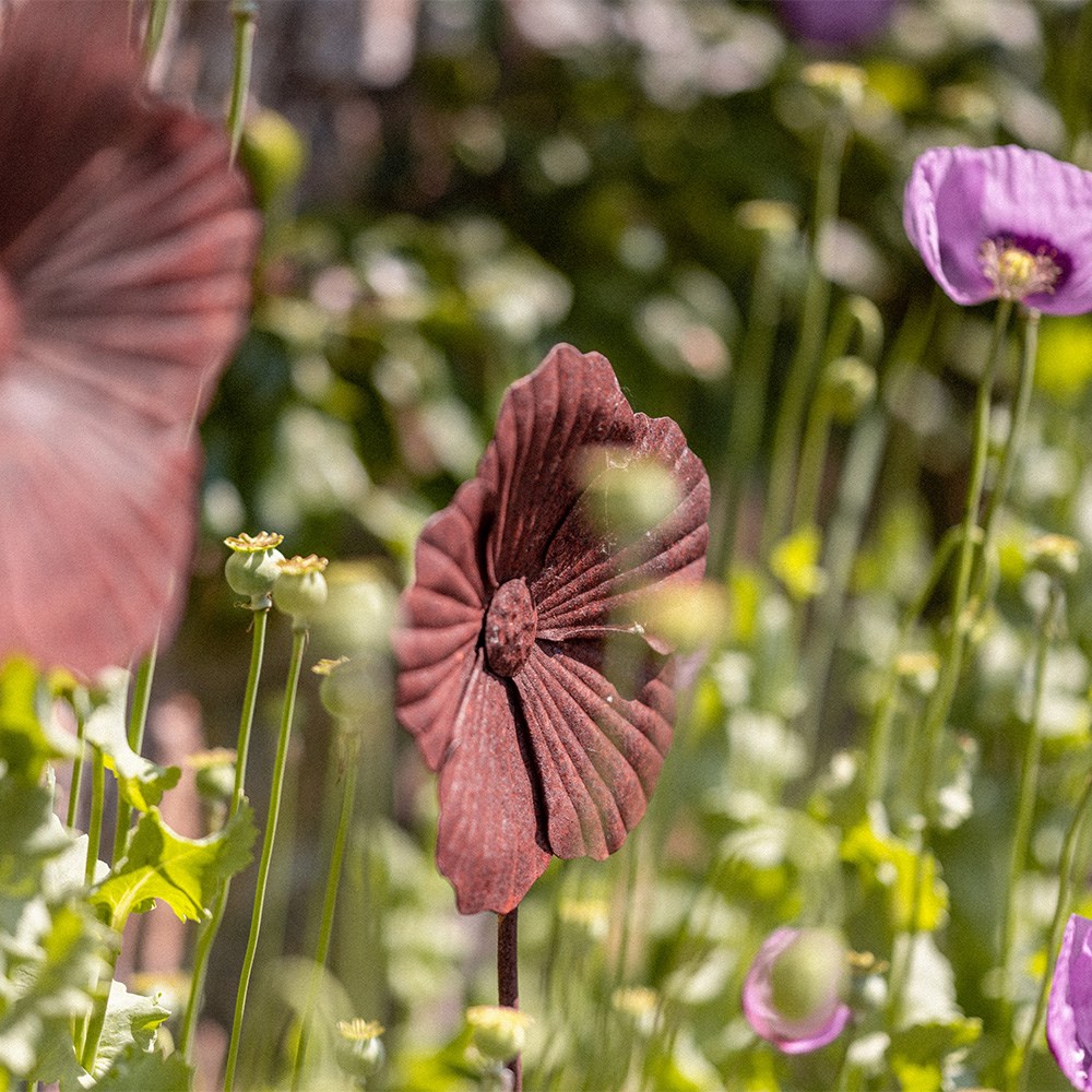 Rusted poppy stake