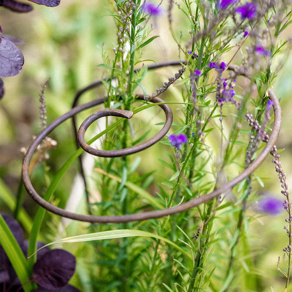 Multi stem plant support - rust