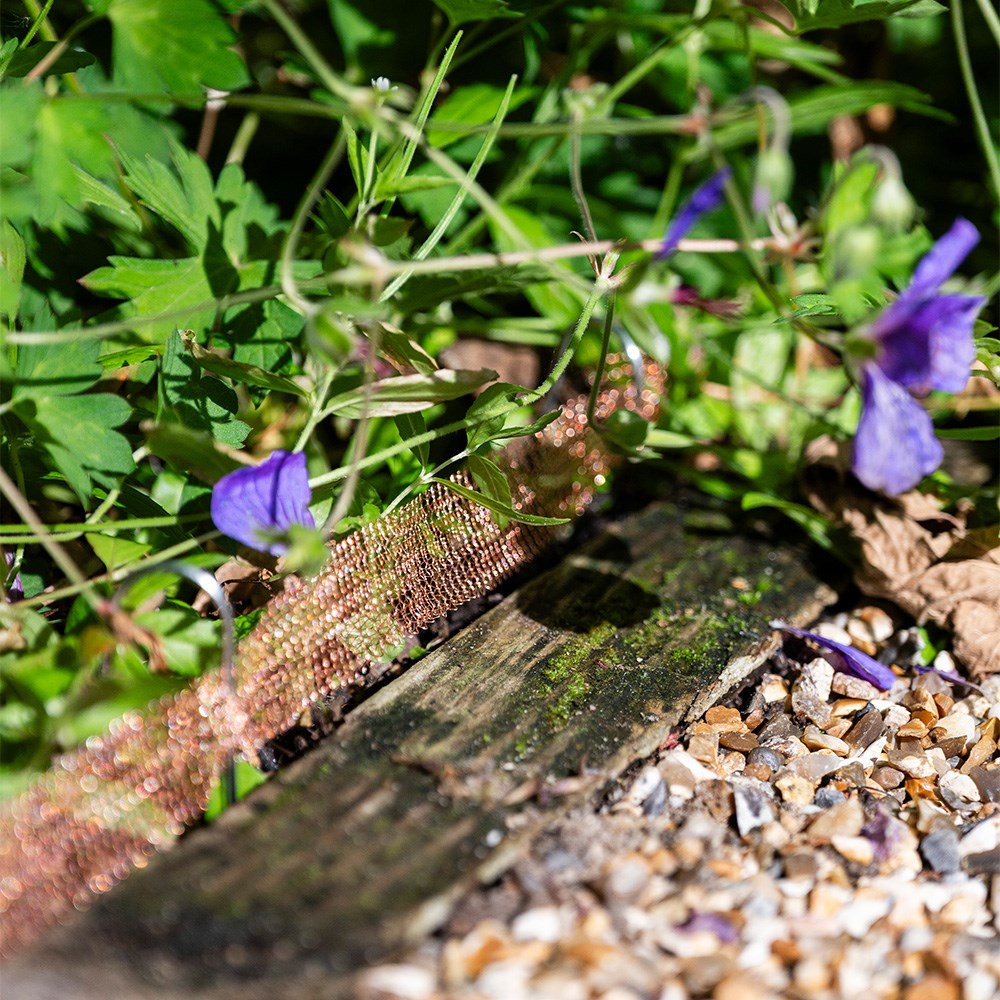 The complete slug & snail prevention kit