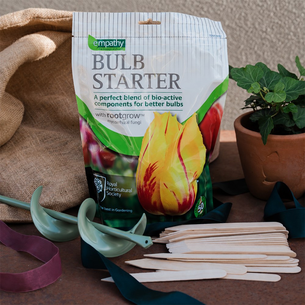 The bulb essential kit