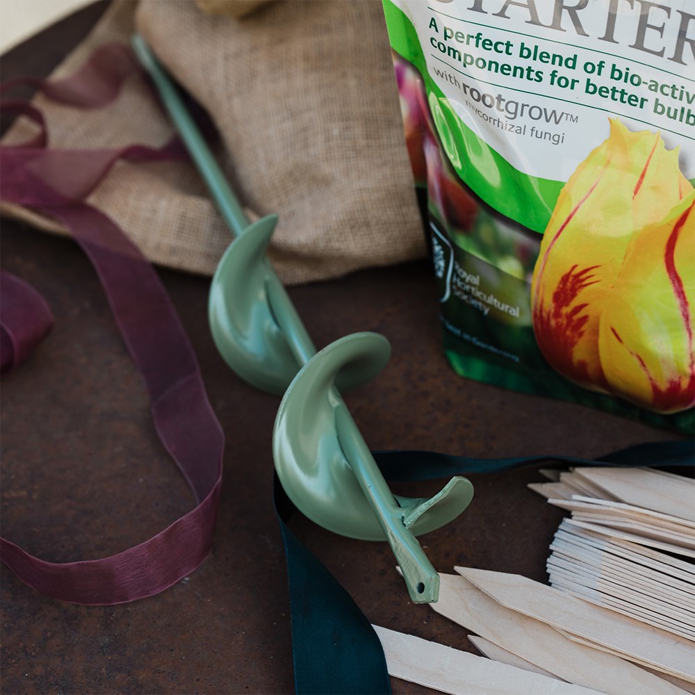 The bulb essential kit