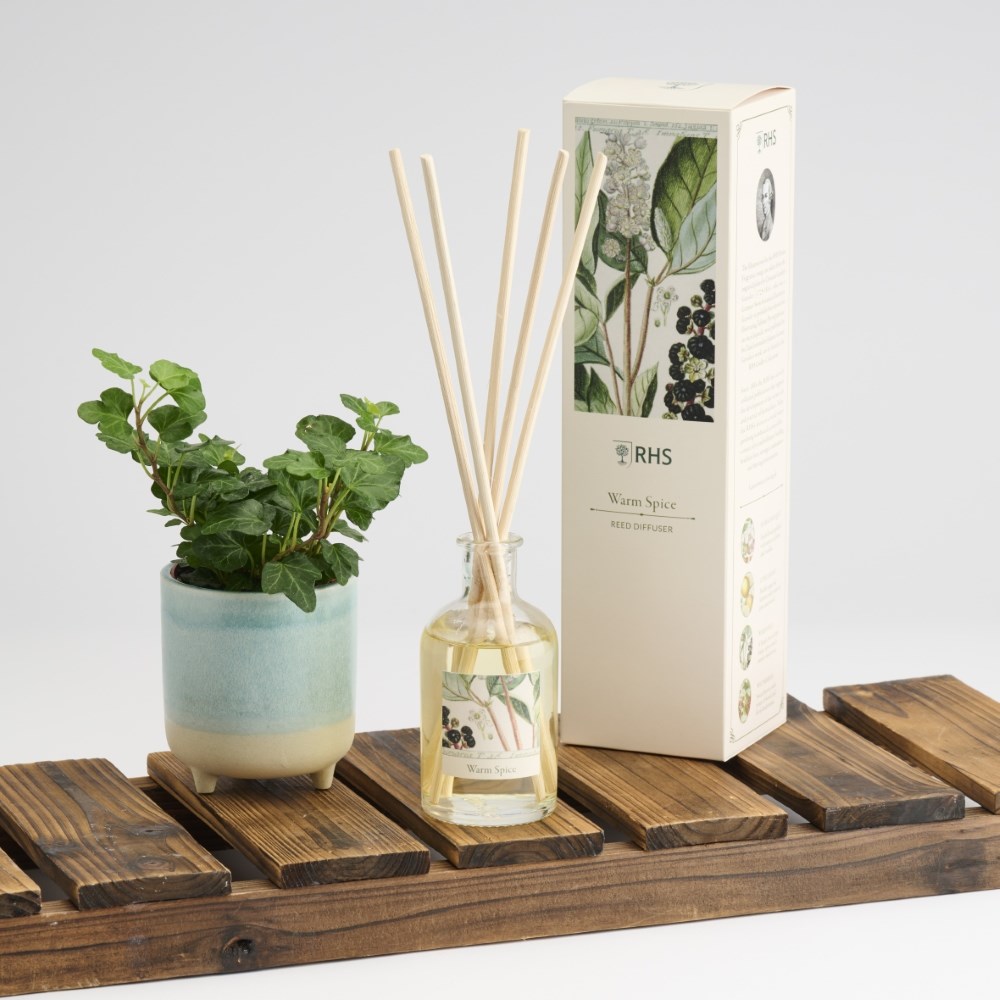 RHS Classic reed diffuser - warm spice