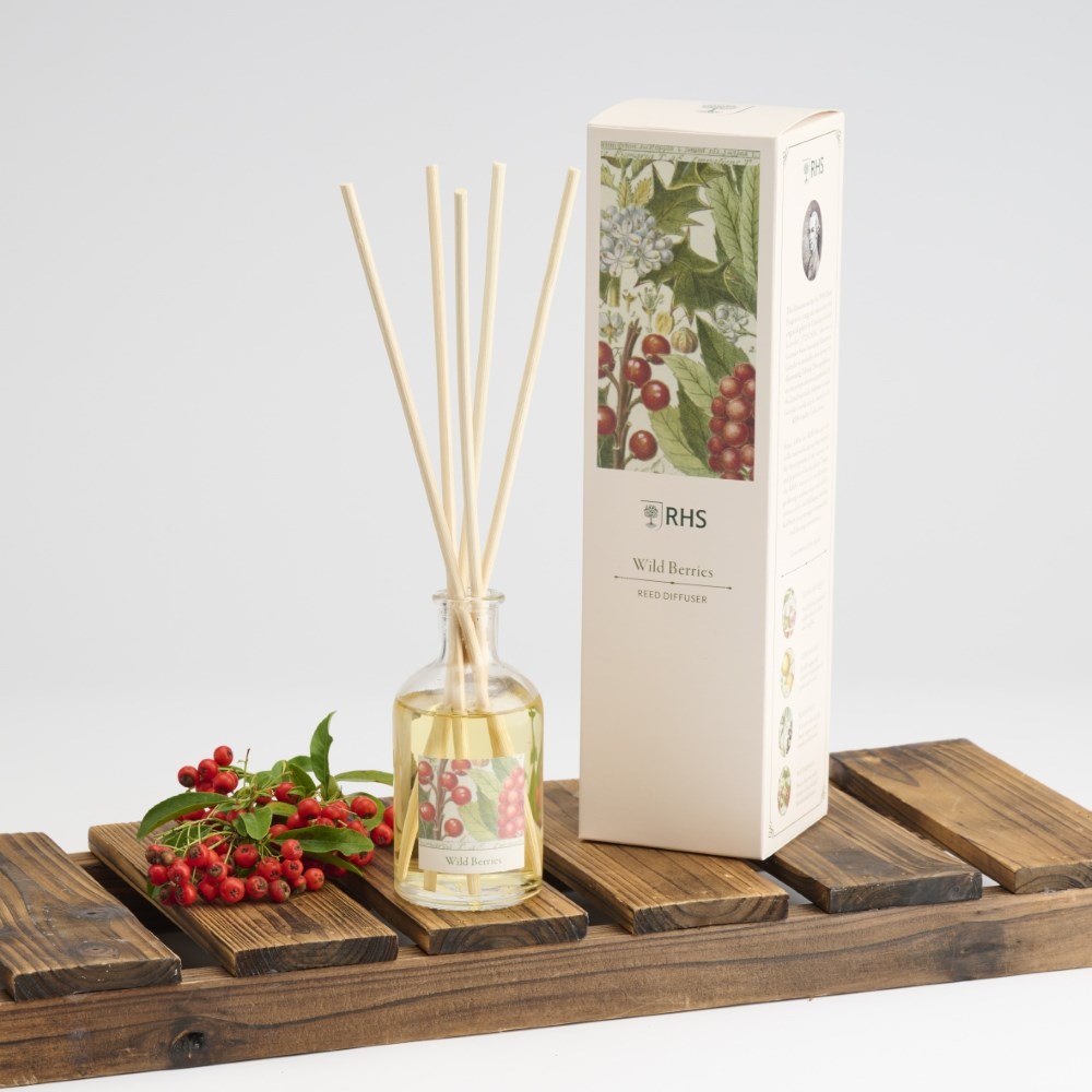 RHS Classic reed diffuser - wild berries