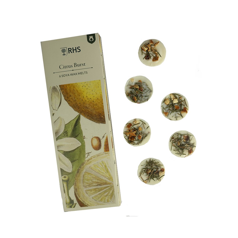 RHS wax melt gift set - citrus burst