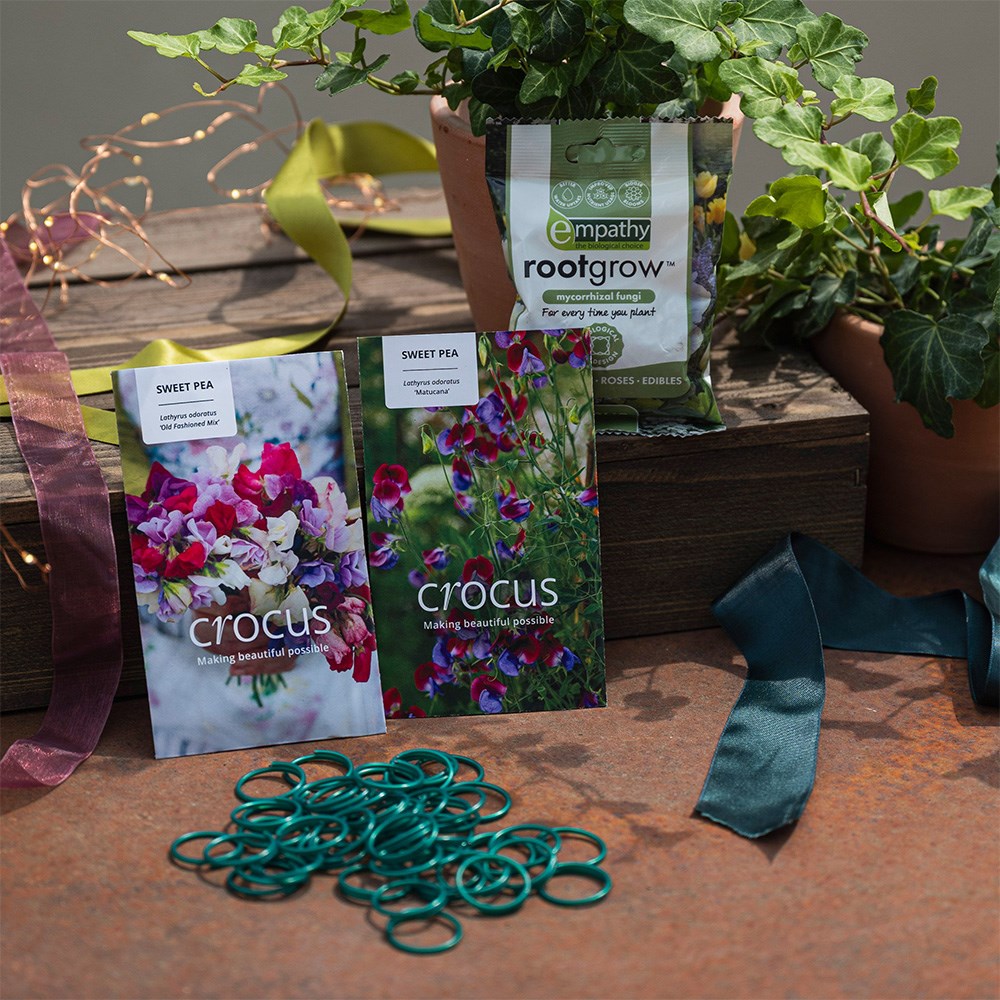 The sweet pea kit