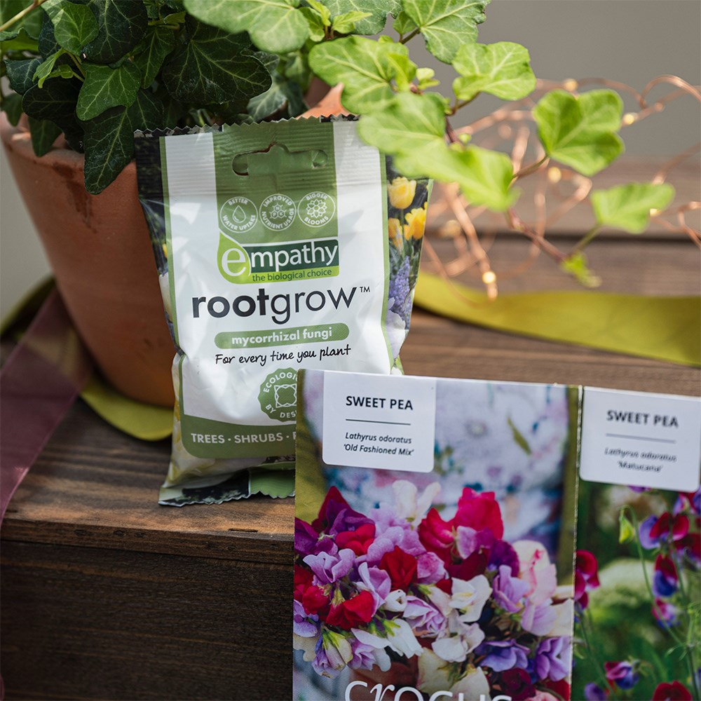 The sweet pea kit