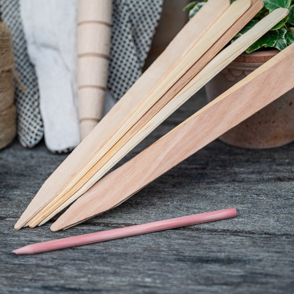 Allotment essentials gift set 
