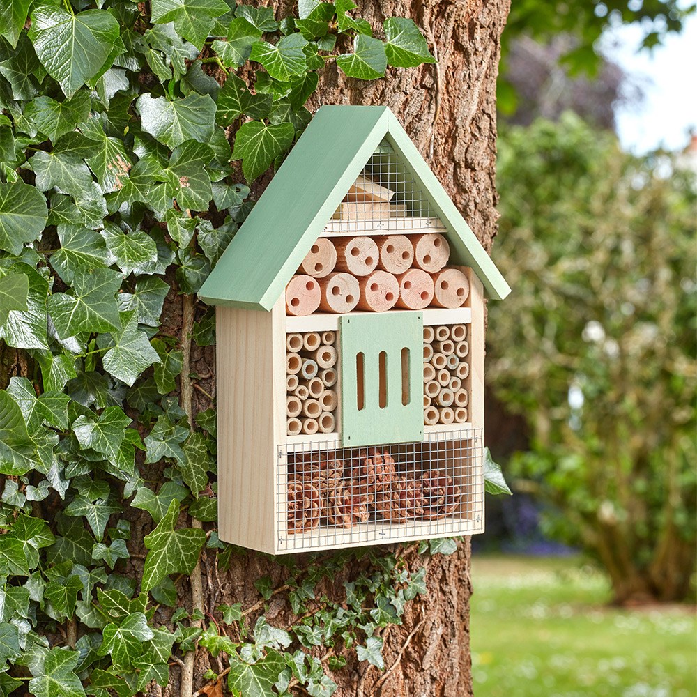 Bug & bee habitat