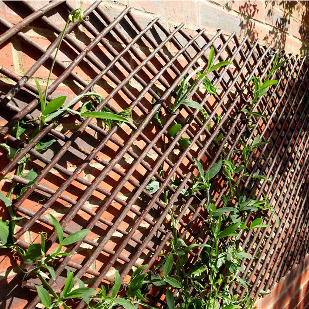 Willow expanding trellis - brown
