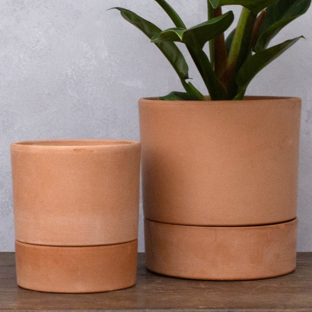 Italian straight edge terracotta plant pot