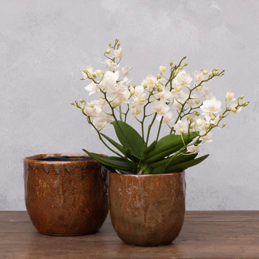 Rustic glazed pot - brown