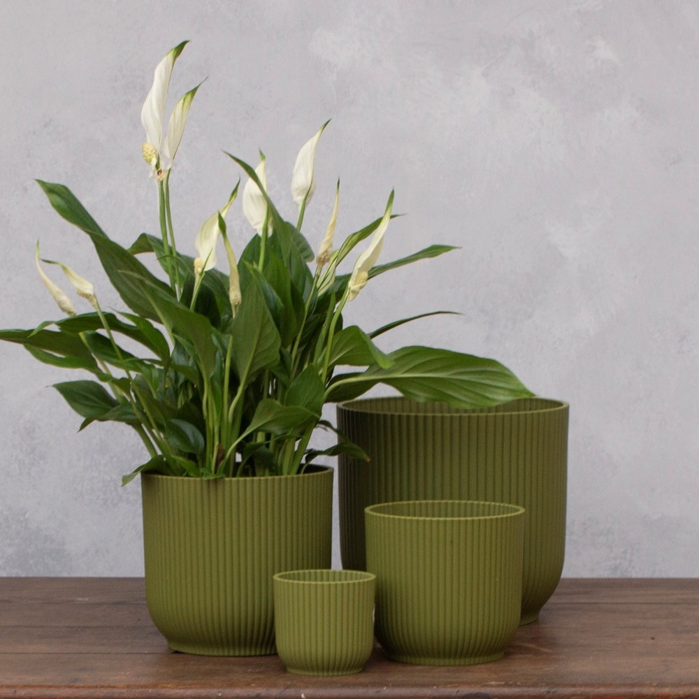 Ribbed lightweight plastic plant pot - fern green