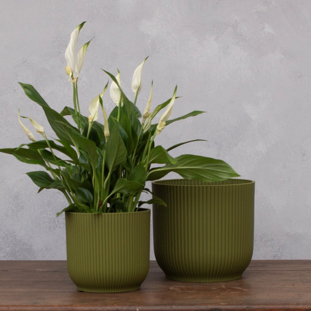 Ribbed lightweight plastic plant pot - fern green