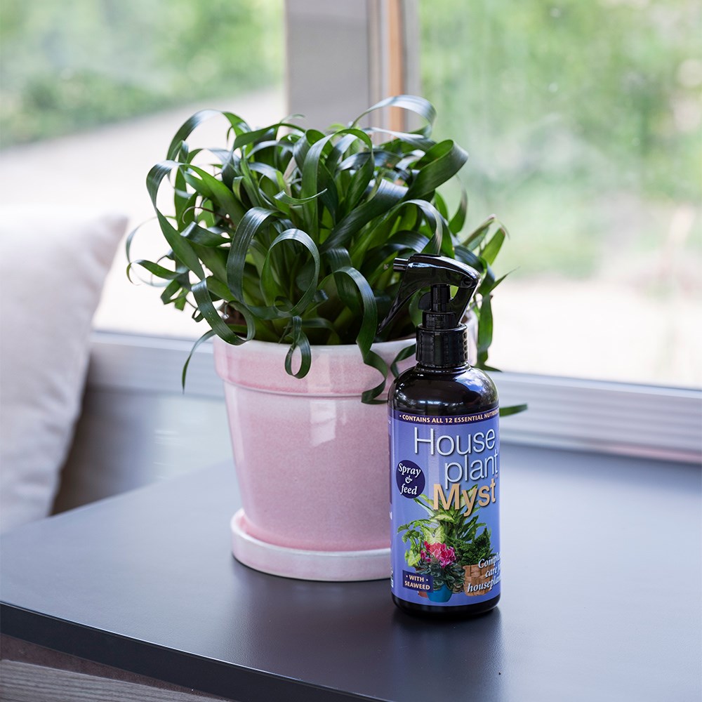 Houseplant spray and feed