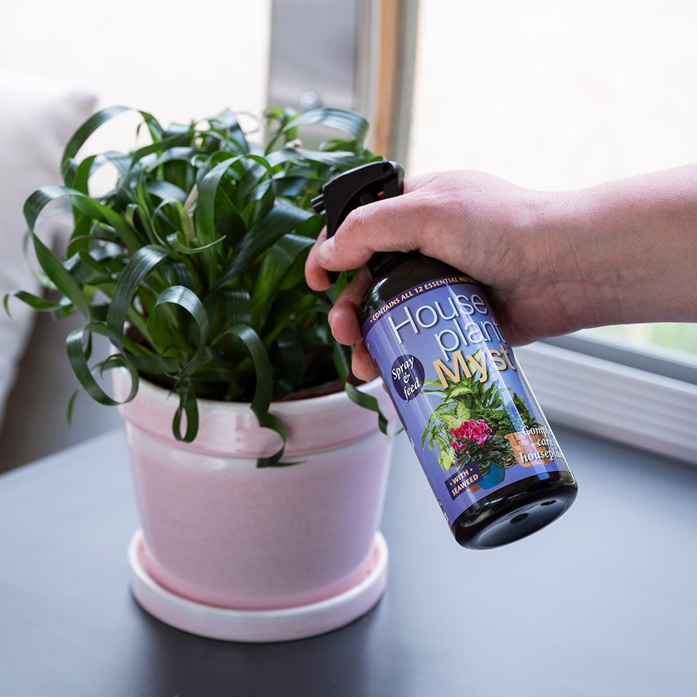 Houseplant spray and feed